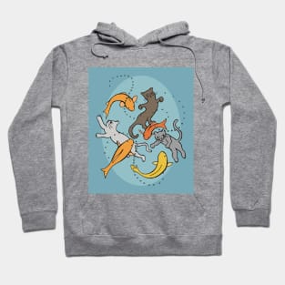 Kittens Swimming With Koi in Pond Hoodie